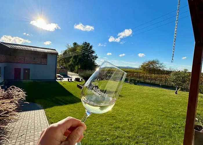 Vinarstvi Fabikovic بيت ضيافة