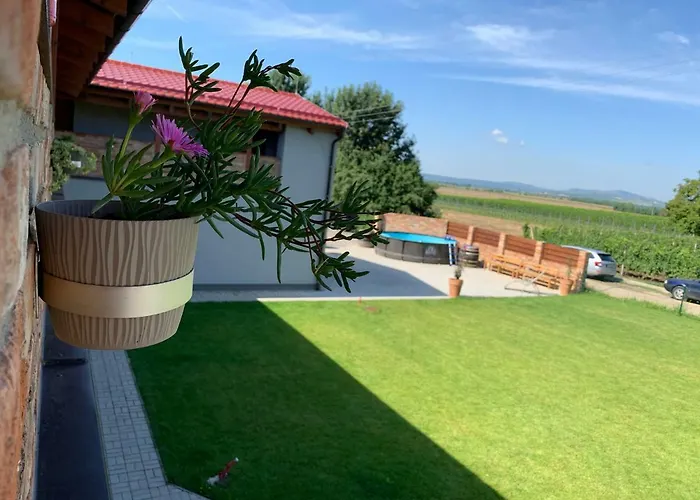 Vinarstvi Fabikovic بيت ضيافة