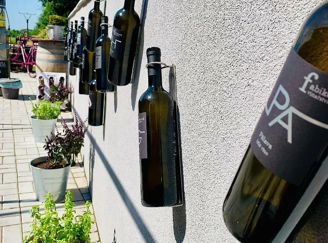 Vinarstvi Fabikovic بيت ضيافة Velké Bílovice